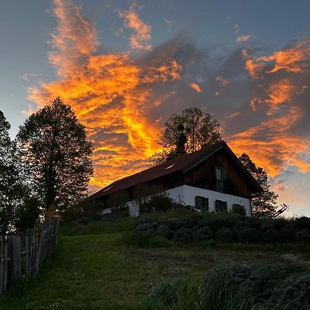Estate Ana Pensionat Ptuj Exteriör bild