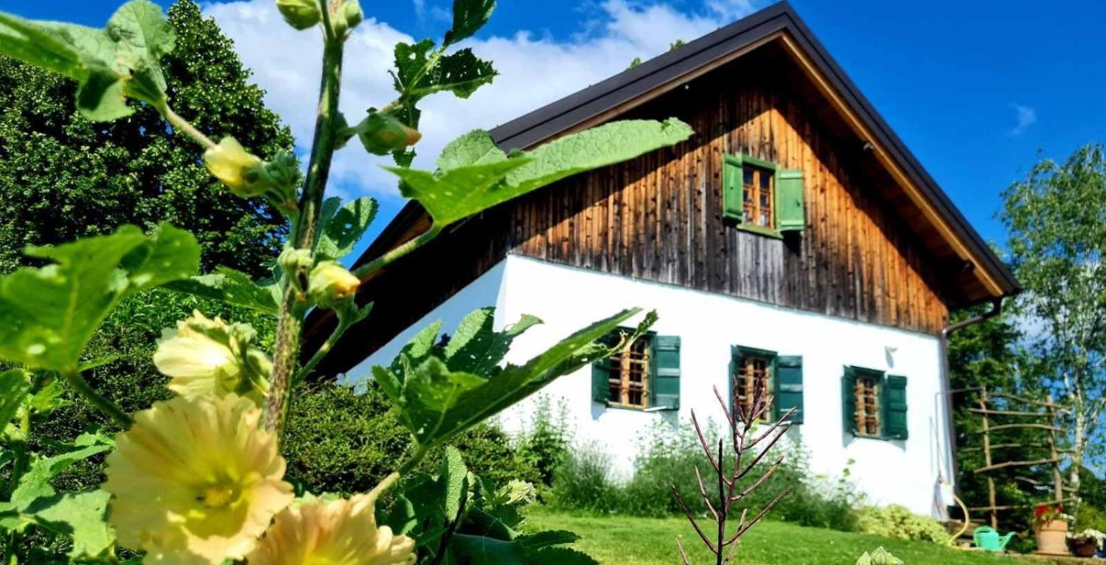 Estate Ana Pensionat Ptuj Exteriör bild