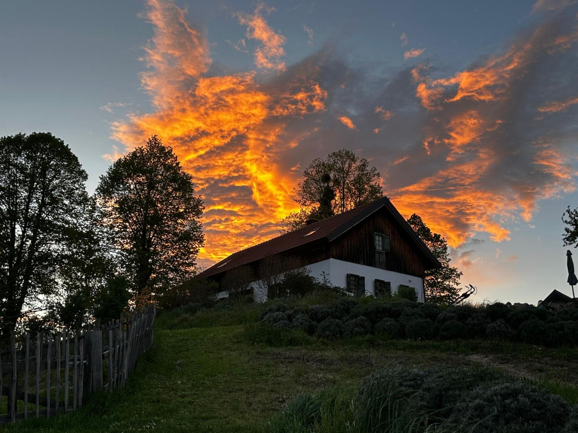 Estate Ana Pensionat Ptuj Exteriör bild