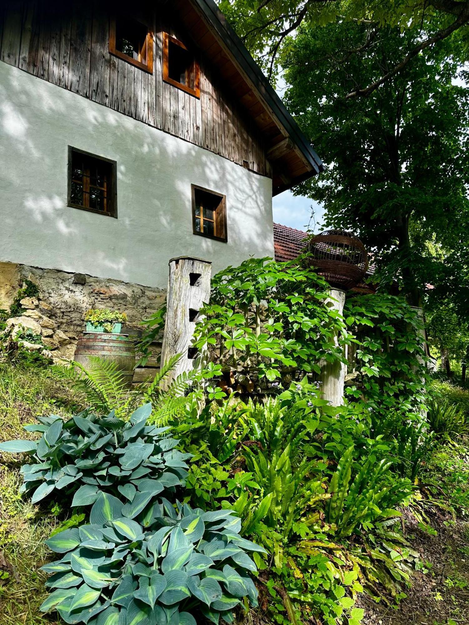 Estate Ana Pensionat Ptuj Exteriör bild